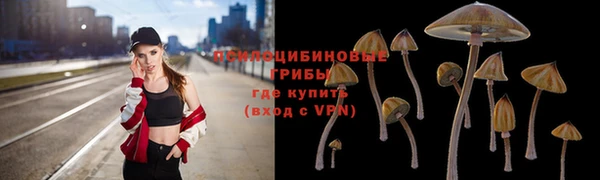 метадон Михайловск