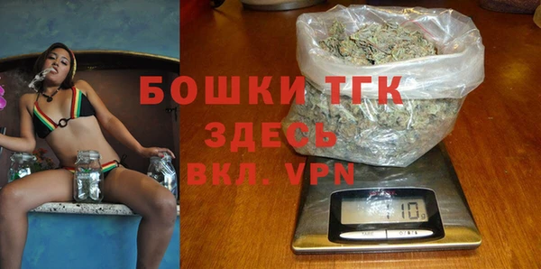 прущие грибы Наволоки