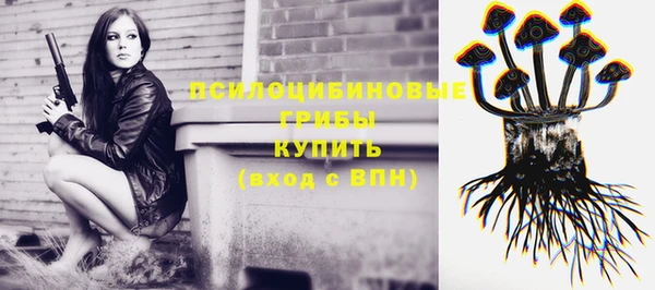 метадон Михайловск
