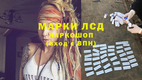 прущие грибы Наволоки
